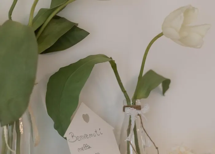 Le Casette Di Gio Monteodorisio